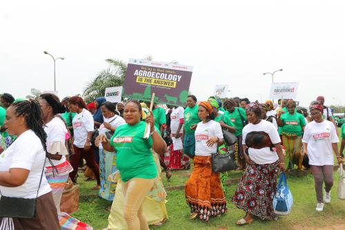 Global Climate Strike, Lagos