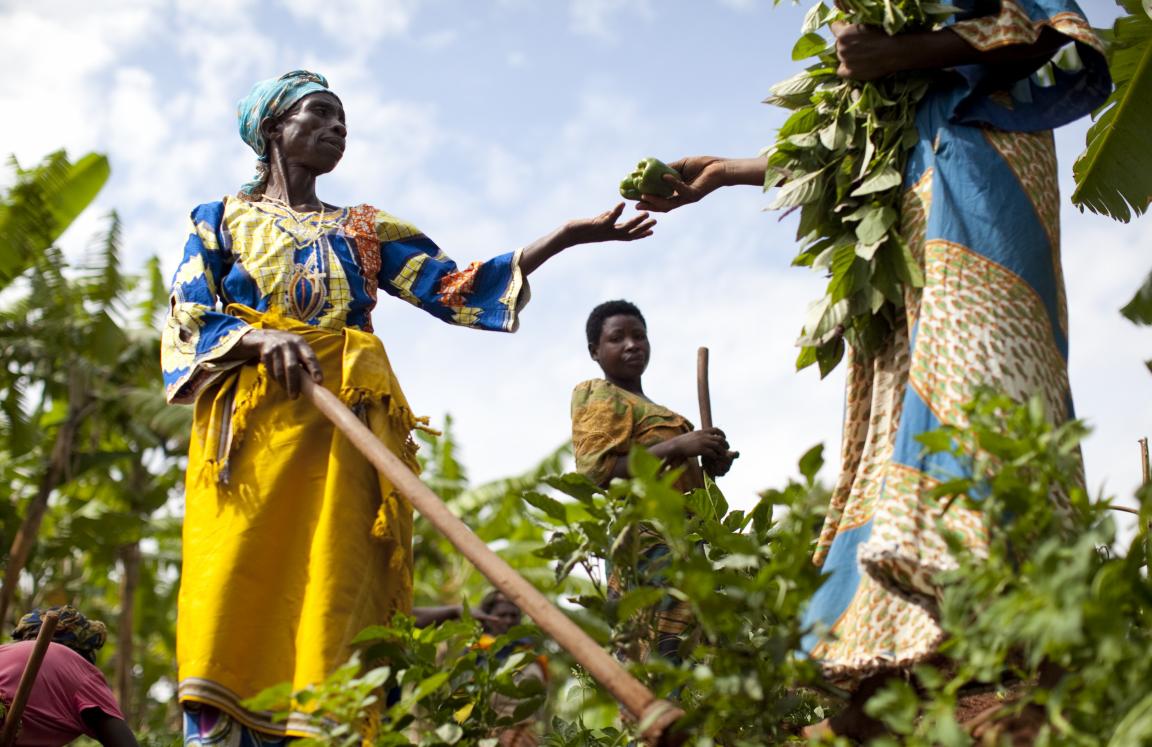 Domina with members of her farming cooperative in Rwanda.