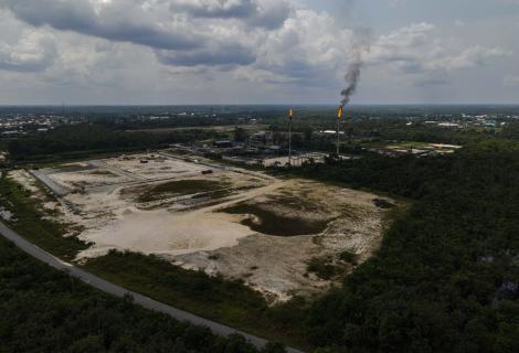 As Royal Dutch Shell’s shareholders meet in The Hague for their annual general meeting, new analysis by ActionAid International exposes the fossil fuel giant’s net zero climate plans to keep polluting while planting vast tree plantations likely to drive land grabs in the Global South.