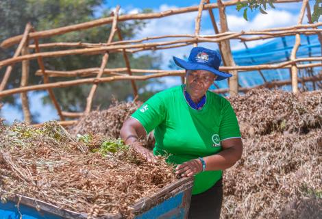 ActionAid is training smallholder farmers on agroecology farming techniques to increase crop yield and adapt to the impact of the changing climate.