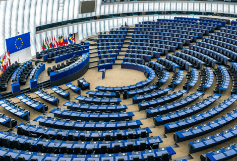 The European Parliament 