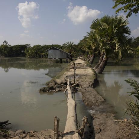 Embankment at Lalua Union, Southern Bangladesh.