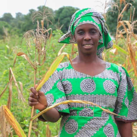 Image of Fatou standing among crops, looking at the camera 