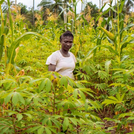 Ngozi, a farmer from Nigeria, in her field