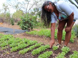 A woman farmer in Brazil