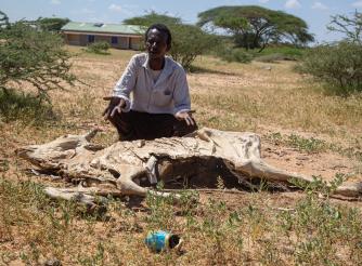 Sugow Abdullahi Abdi, a farmer, stands over one of his deceased animals.