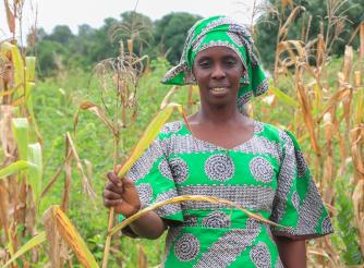 Image of Fatou standing among crops, looking at the camera 