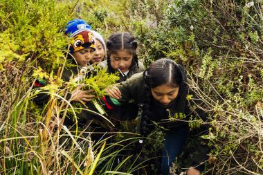 Environmental Indigenous Guard in Colombia 